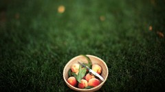 Nature grass summer Green peaches apricots artistic
