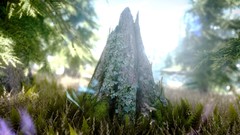 Nature grass the elder scrolls v skyrim video games