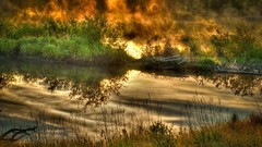 Nature grass water Earth reflections