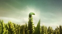 Nature Green abstract