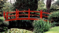 Nature Green Garden Japanese Ireland