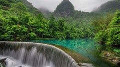 Nature Green jungle rivers Green River