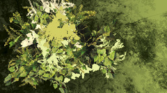 Nature Green leaf grass