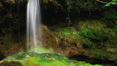 Nature Green roots waterfalls rocks