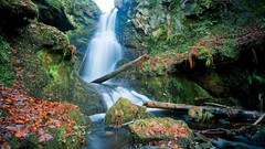 Nature Green waterfalls