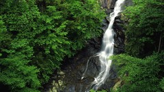 Nature Green waterfalls exotic forests