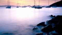 Nature Harbor caribbean