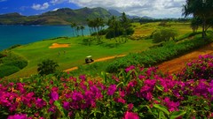 Nature Hawaii golf Kauai