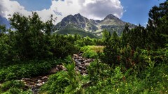 nature hdr landscape argentina Mountains Plants