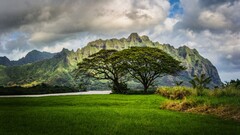 nature hdr landscape Hawaii USA Trees Mountains