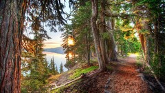 nature hdr landscape Lake Trees forest path dirt road sunlight