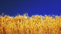 Nature HDR Photography