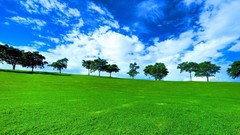 Nature HDR Photography