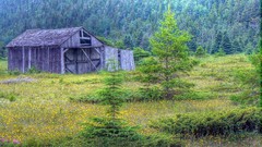 Nature HDR Photography