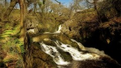 Nature HDR Photography