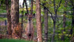 Nature HDR Photography