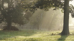 Nature high 1920x1200 Resolution taggl cuteme