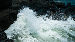 Nature high Resolution