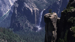 Nature high vision Resolution