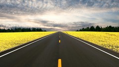 Nature Highways roads