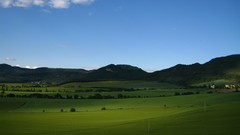 Nature hills Green pole