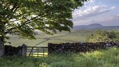 Nature hills moss fields stone wall