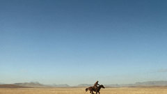 Nature Horses Animals