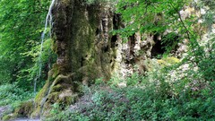 Nature Hunchback fountain-Bulgaria