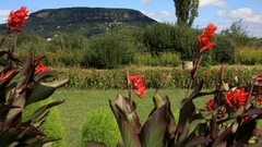 Nature hungary Badacsony