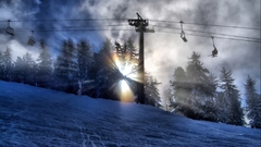 Nature ice snow forest