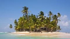 Nature Islands palm trees Beaches