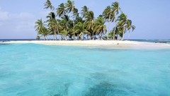 Nature Islands palm trees Beaches