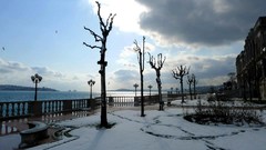 Nature Istanbul turkish