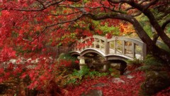 Nature Japan Garden Japanese roads British Columbia Bridges 