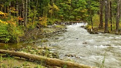 Nature Japan rivers forests
