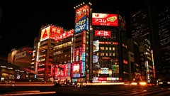 Nature Japan Tokyo cities Shibuya