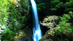 Nature Japan waterfalls forests