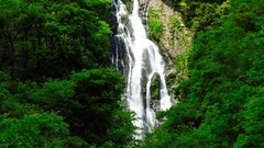 Nature Japan waterfalls forests