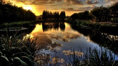 nature Lake water landscape sunlight Plants dark reflection