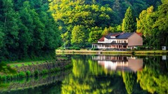 Nature lakes reflections forests