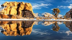 Nature lakes rivers swamps