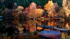 Nature lakes woods forests HDR Photography