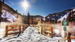 nature landscape Aspen snow Trees forest sunlight Mountains sign