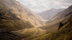 nature landscape brown