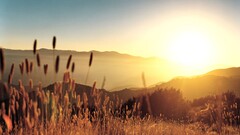 nature landscape field Mountains hills sun sunlight