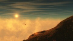 nature landscape grass sky sunlight Birds Animals clouds