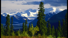 Nature landscape high amp Resolution 231