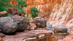 Nature landscape mountain