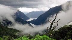 nature landscape Mountains mist clouds Sea water Plants