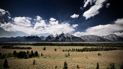 nature landscape Mountains plains pine trees clouds sky